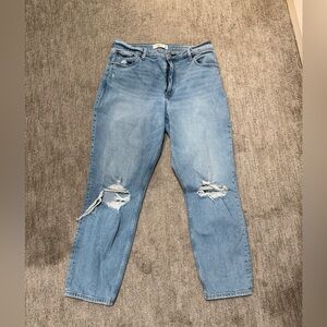 Abercrombie & Fitch Light Blue Curve Love Mom Jeans